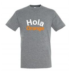 Camiseta M/C GRIS Hombre FRQ